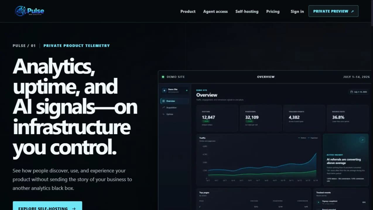 Pulse private-preview homepage with a clearly labelled demonstration analytics dashboard.