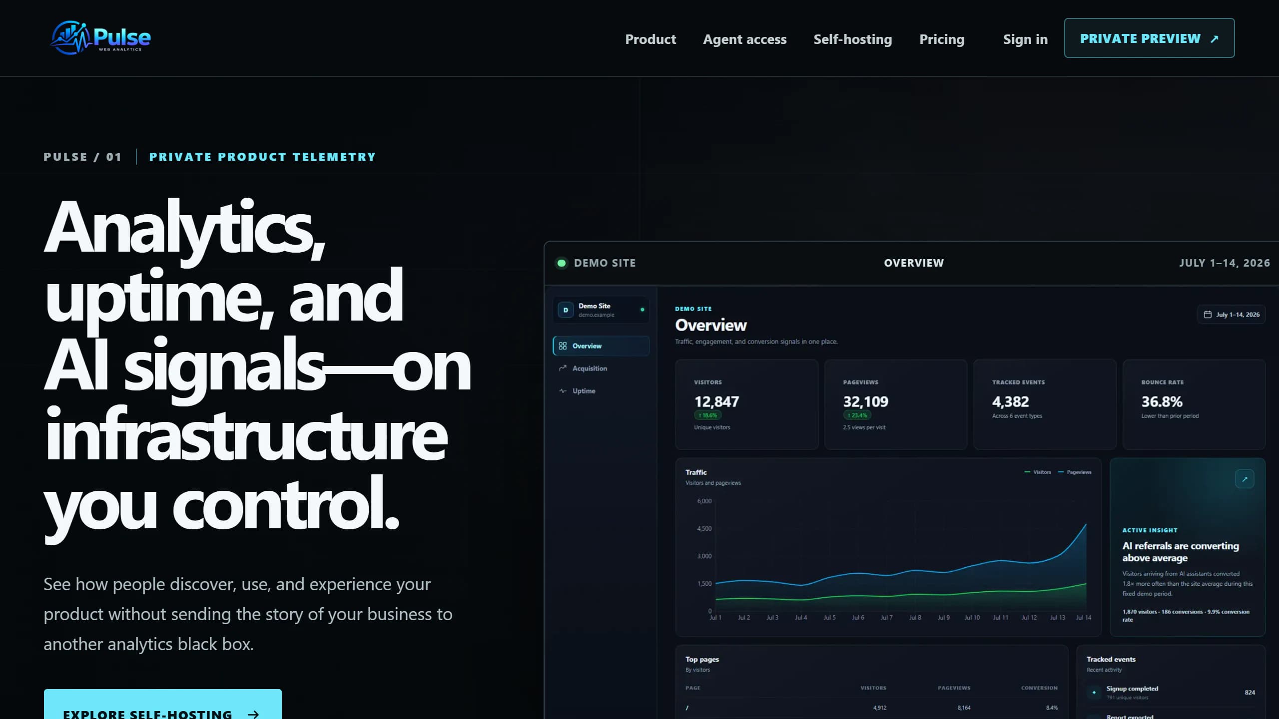 Pulse private-preview homepage with a clearly labelled demonstration analytics dashboard.