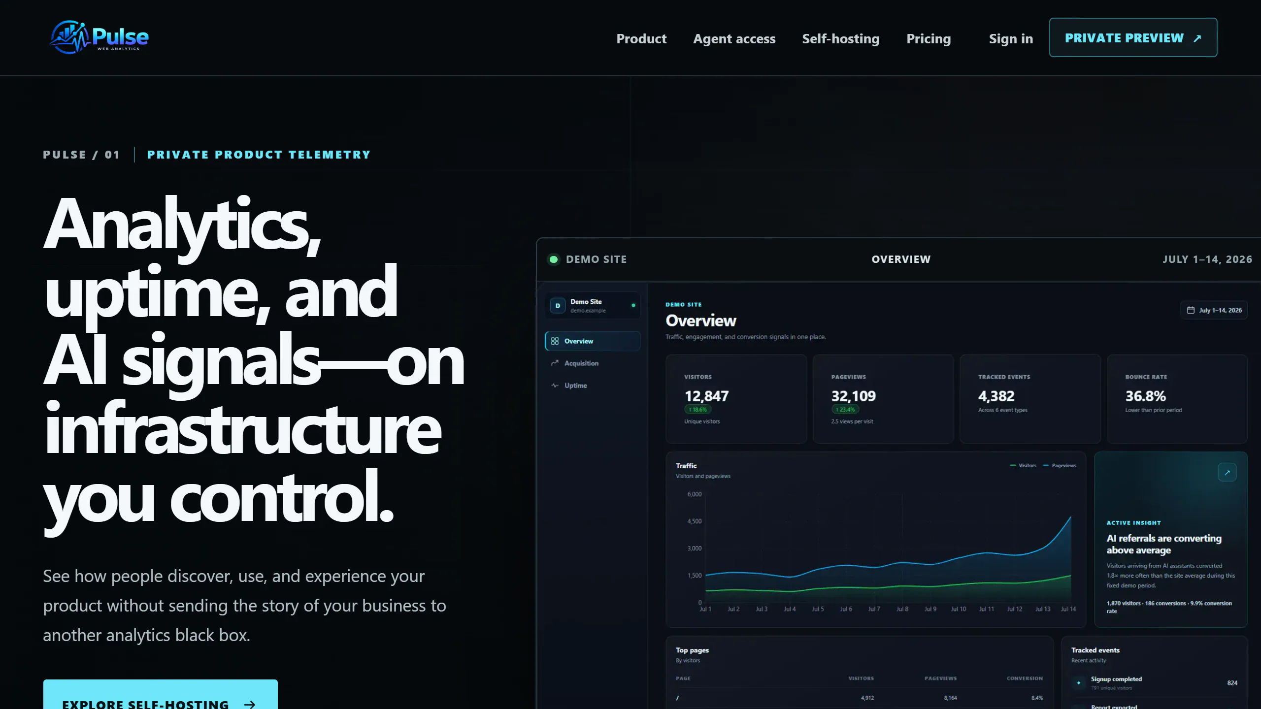 Pulse private-preview homepage with a clearly labelled demonstration analytics dashboard.